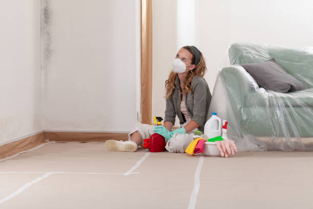 Reliable Attic Mold Removal contractor in Richwood, TX by WQB Mold Removal
